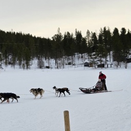 finnland rundreise 2025_69